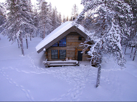 Aurora Forest Lodge Ylläs